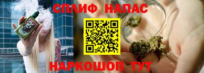 гашик Волжский