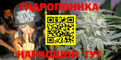гашик Волжский