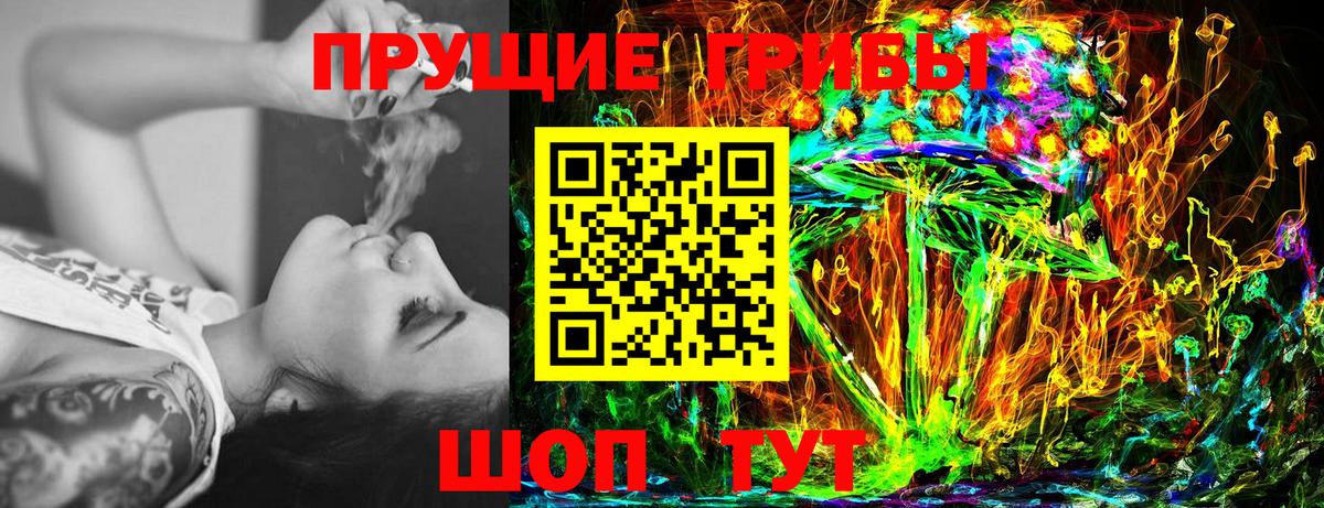 Галлюциногенные грибы Psilocybe Пугачёв